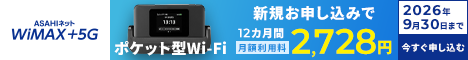 WiMAX+5G
