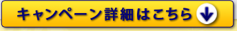 �ڍׂ͂�����